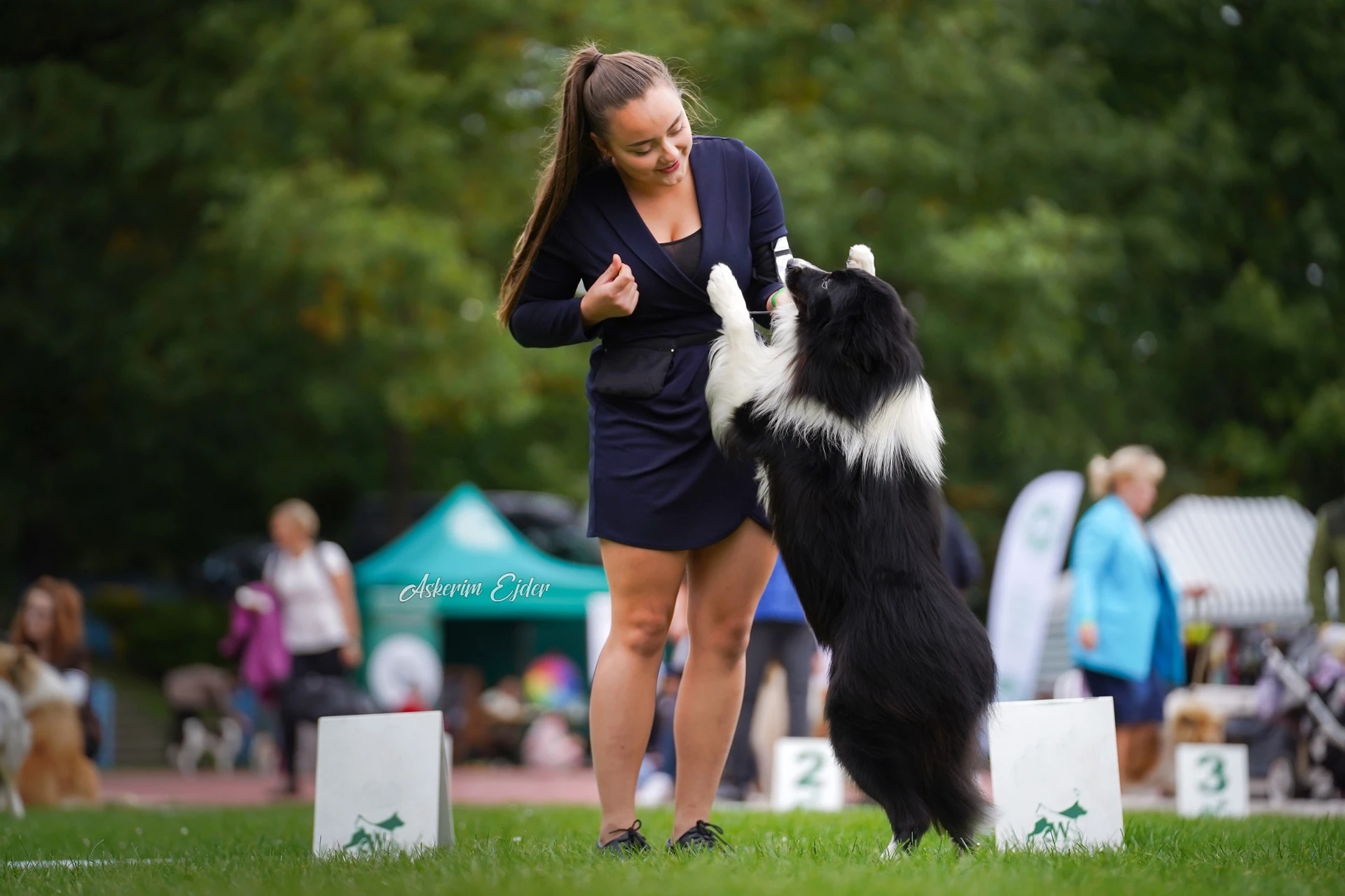 Názov registrovaného chovu Canis Ursínus-Bakkaia – kde srdce bije pre psy 🐾